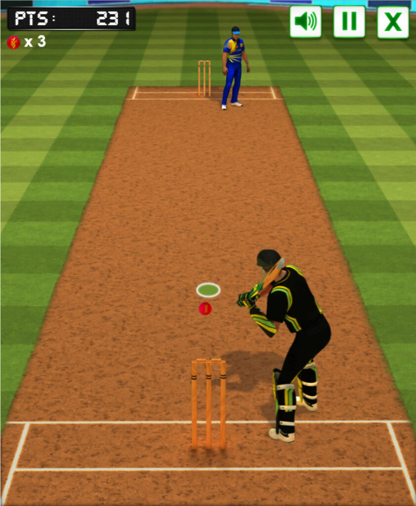 Cricket Fielder Challenge