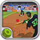 Cricket Fielder Challenge