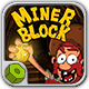 Miner Blocks